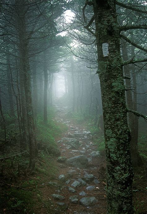 The Long Trail | Vermont | Patrick Zephyr Photography