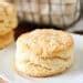 Easy Homemade Buttermilk Biscuits Spend With Pennies