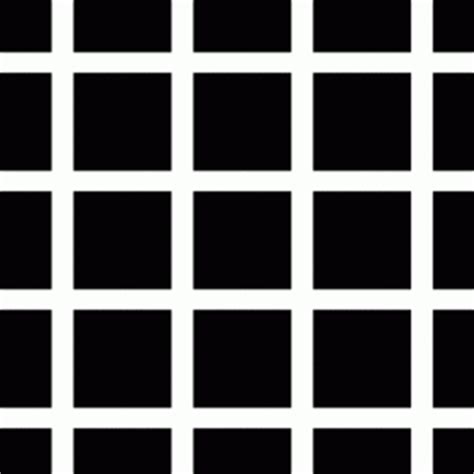 Hermann Grid Illusion | Psychology Concepts