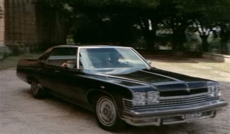 IMCDb.org: 1974 Buick Electra 225 [4CT39] in "Patrick vive ancora, 1980"