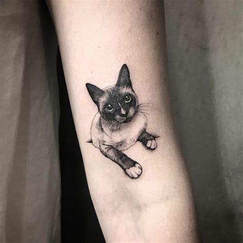 Pin By Sueleide On Tatuagem Cat Tattoo Designs Cat Tattoo Siamese