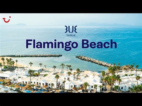 TUI BLUE Flamingo Beach, Lanzarote - YouTube