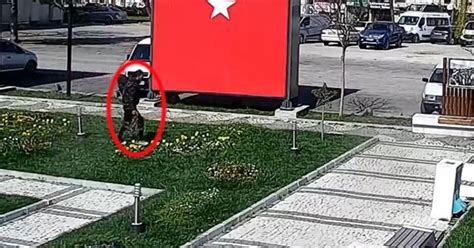 Her şey Kamera Kayıtları Incelendiğinde Ortaya çıktı Tgrt Haber