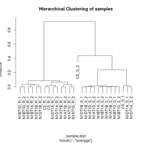 Hierarchical Clustering With Pearson Correlation And Average Linkage