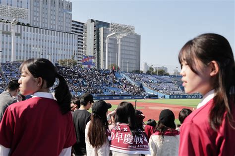 2023秋季「華の早慶戦」第1回戦 ②内野応援席 写真共有サービス 30days Album