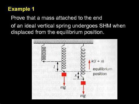 Simple harmonic motion examples - liamela