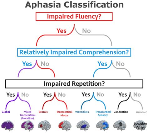 Aphasia Types, Causes, Symptoms, Diagnosis, Treatment, 52% OFF