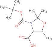 Tert Butoxy Carbonyl Trimethyl Oxazolidine