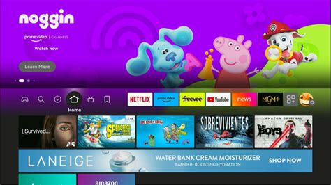 Roku Vs Fire Tv Which Streaming Device Is Best For You The Plug