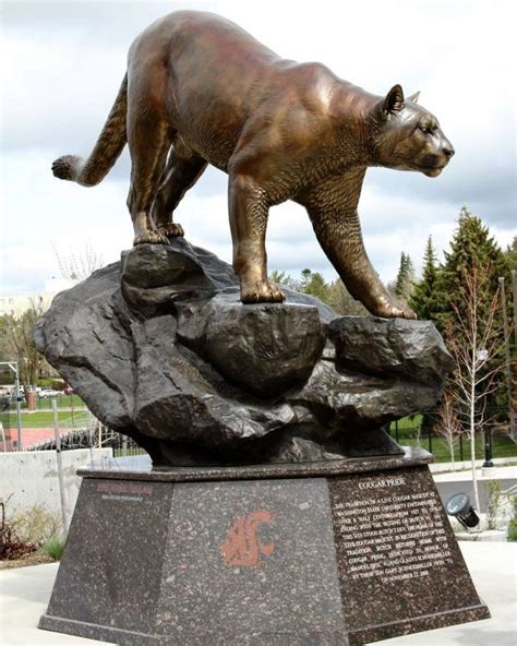 Contemporary Wildlife Sculpture By Artist Mike Fields Wsu Cougars