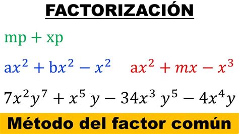 Factorización método de factor común 4 ejercicios resueltos usando