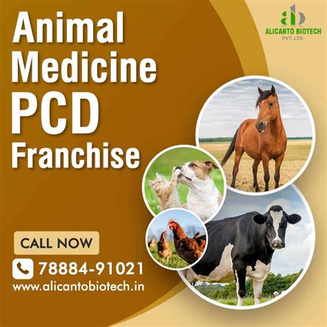 Veterinary Pcd Pharma Franchise Company In India Alicanto Vetcare