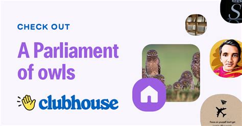 A Parliament Of Owls