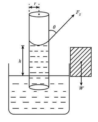 Explain The Capillary Rise Of Liquid Deduce An Expression For The Rise