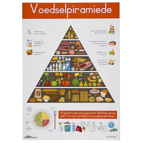 Poster - Voedselpiramide (A2)