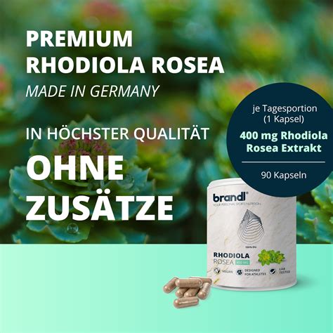 Brandl Rhodiola Rosea Extrakt Rosenwurz St Shop Apotheke At