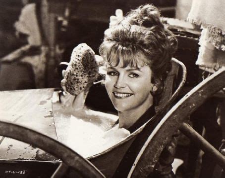 The Hallelujah Trail Hot Toasty Rag