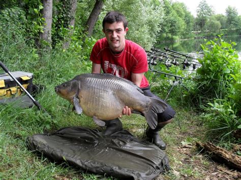 photo carpe carpe cuir de kg