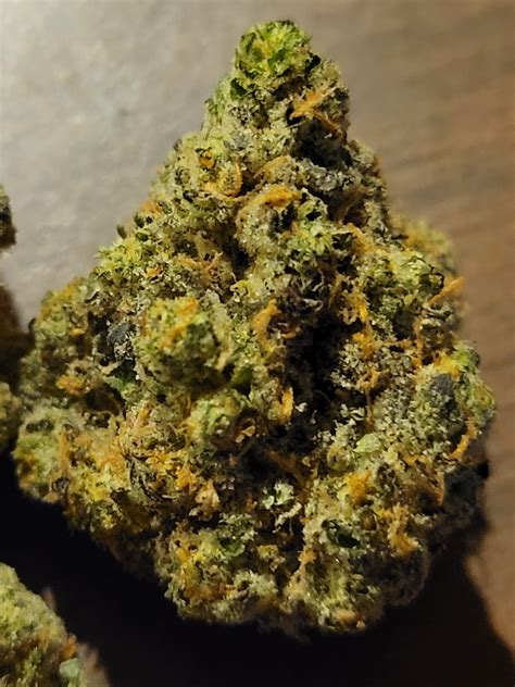 Hot Stuff by Cresco. Another Tina × Greasemonkey pheno. This one is