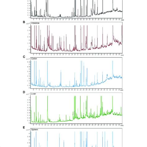 Total Ion Chromatograms Of Qc Samples A Serum B Intestine C Download Scientific