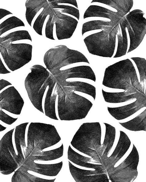 Tropical Monstera Black And White Art Print By Nordik Society6