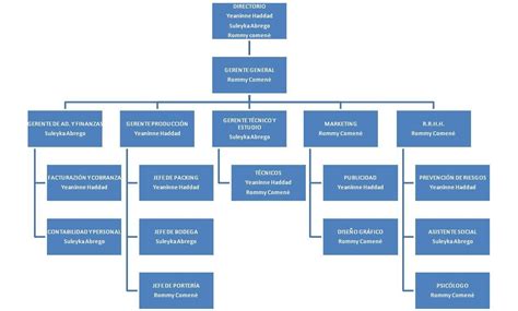 Organigrama Organigrama Organigrama De Una Empresa Organigramas