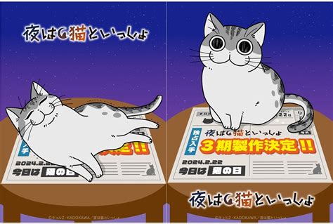 『夜は猫といっしょ』第3期製作決定！ アニメイトタイムズ