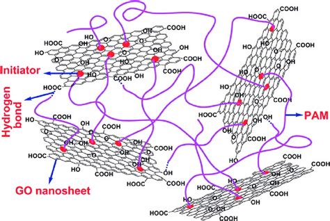 A Schematic Network Of PAM GO Nanocomposite Hydrogel Reprinted With