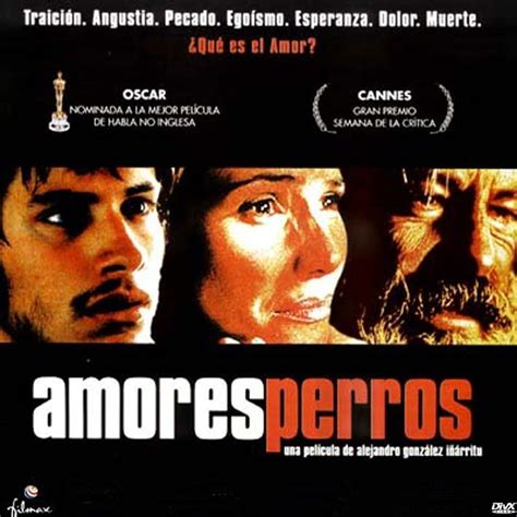 Amores Perros Directed By Alejandro González Iñárritu Cinema Movies