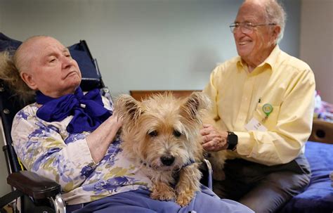 Hingham Man 94 Finds Perfect Match In Senior Dog At Scituate Shelter