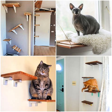 Diy Cat Shelves 14 Easy Diy Cat Wall Ideas