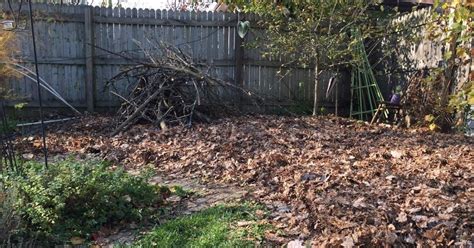 The Natural Naturalist Building A Brush Pile