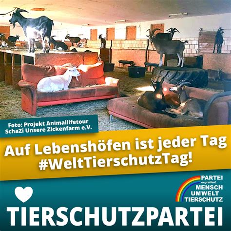 Auf Lebensh Fen Ist Jeder Tag Ein Welt Tierschutz Tag Partei Mensch