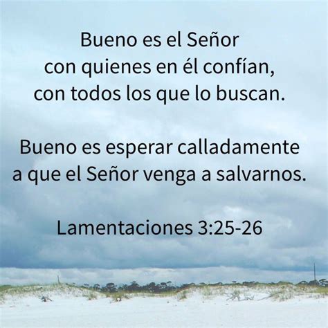 Lamentaciones 3 25 26 Nueva Versión Internacional NVI Bible