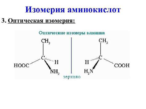 Азот содержащие соединения Аминокислоты Аминокислоты это