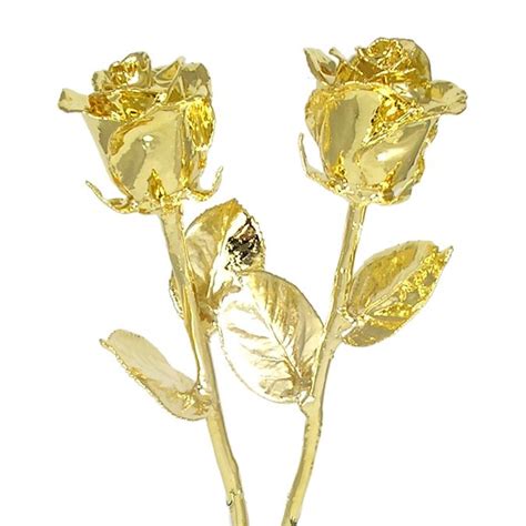 His And Her 11 Real Roses Dipped In 24k Gold Love Is A Rose