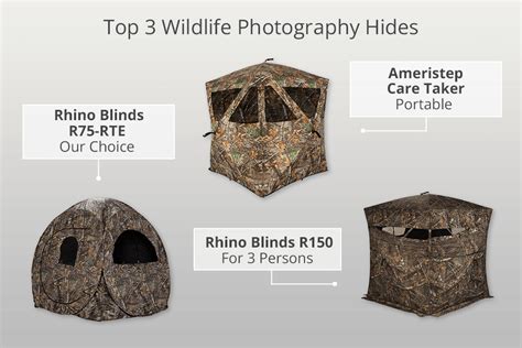 7 Best Wildlife Photography Hides to Use in 2024