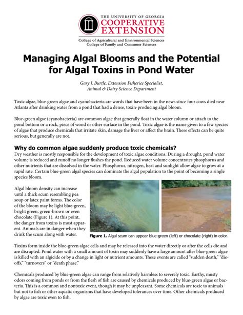 PDF Managing Algal Blooms And The Potential For Algal Toxins In Pond