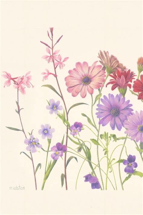 Spring flowers, coloured pencil art