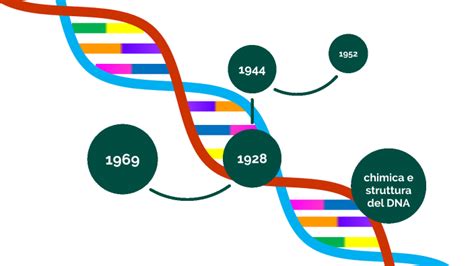 Le Principali Tappe Della Scoperta Del Dna By Emanuela Zambigli On Prezi