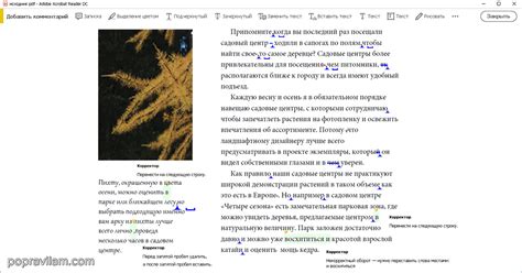 Услуги корректора и редактора текста: корректура и редактура ...