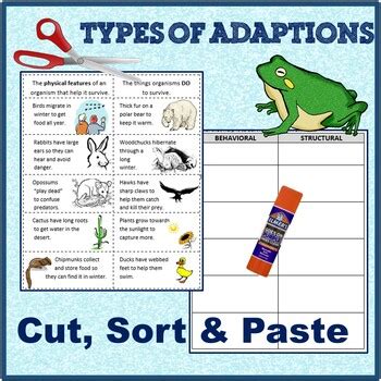 Behavioral and Structural (Physical) Adaptations Cut and Paste examples