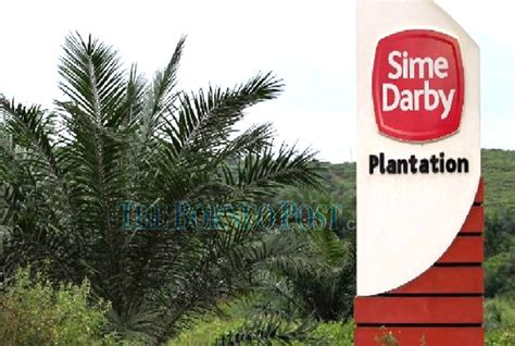 Sime Darby Plantation Logo - Sime Darby S Pure Play Strategy Could Work ...