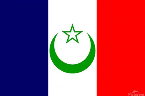 French Morocco flag by Tony Tudor Wall Art