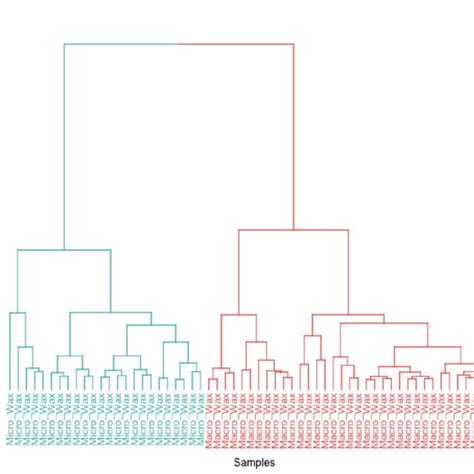 Dendrogram Obtained From The Hca Using The Euclidean Distance And