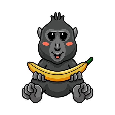 Bonito Desenho De Macaco Preto Crista Segurando Uma Banana Vetor