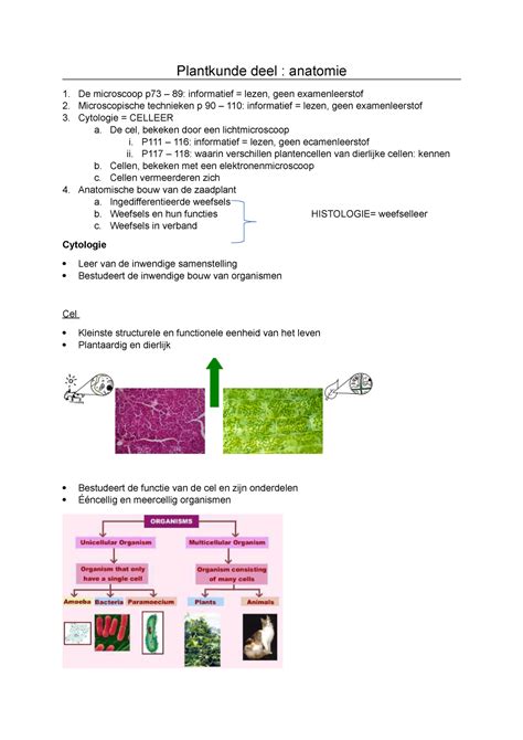 Plantkunde Deel Anatomie Plantkunde Deel Anatomie De Microscoop P