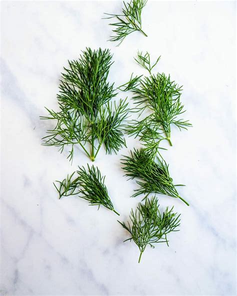 10 Best Dill Recipes A Couple Cooks