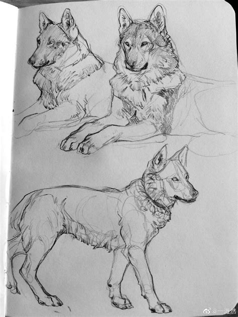 Three Wolfs Are Shown In This Black And White Sketching Book Each With Their Own Image