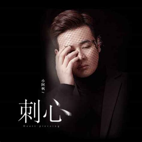 刺心dj伟然版伴奏 小阿枫 Mp3免费在线下载播放 歌曲宝 找歌就用歌曲宝 Mp3音乐高品质在线免费下载